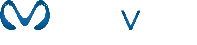 MetaVision Logo - Horizontal - BLUE & WHITE - 20250815